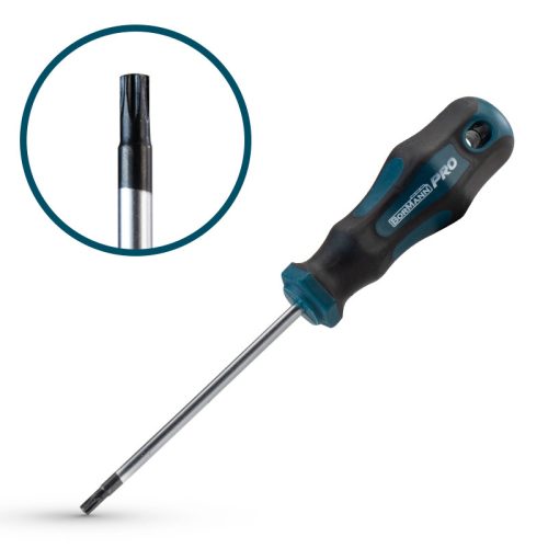 BORMANN Pro CSAVARHÚZÓ TORX T15x100mm S2 (BHT7030)